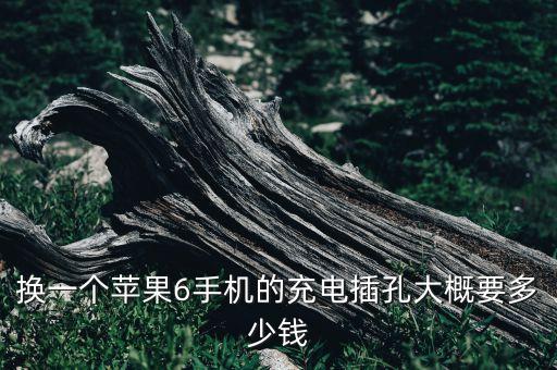 直營店iphone6數(shù)據(jù)線多少錢