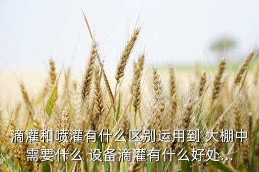 蔬菜大棚自動化設(shè)備沈陽,沈陽森能自動化設(shè)備有限公司