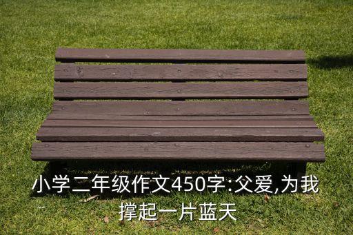 小學(xué)二年級作文450字:父愛,為我 撐起一片藍天