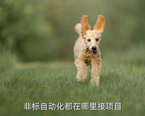 非標(biāo)自動化都在哪里接項目