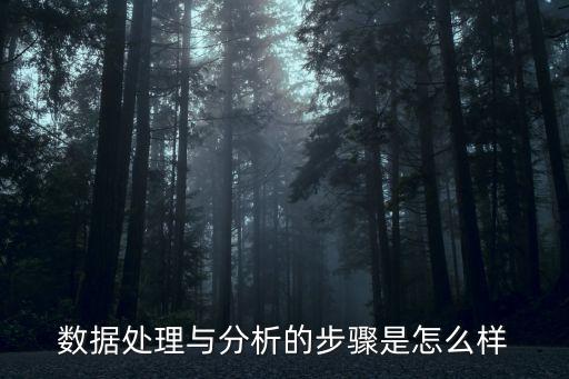 數(shù)據(jù)處理與分析的步驟是怎么樣