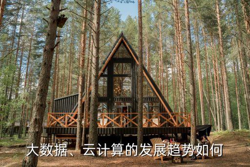云融大數(shù)據(jù)是怎么回事,大數(shù)據(jù)金融是不是互聯(lián)網(wǎng)金融?