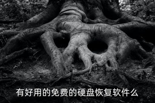 有好用的免費(fèi)的硬盤恢復(fù)軟件么