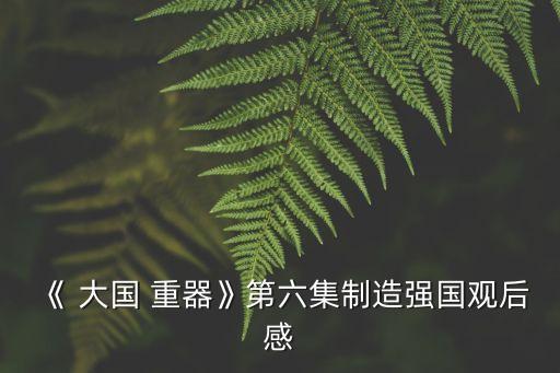 《 大國 重器》第六集制造強國觀后感