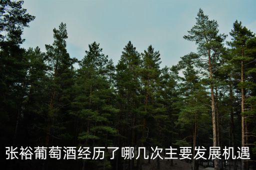 張裕葡萄酒經(jīng)歷了哪幾次主要發(fā)展機遇