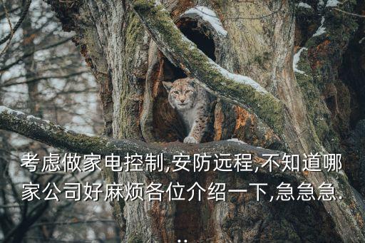 考慮做家電控制,安防遠(yuǎn)程,不知道哪家公司好麻煩各位介紹一下,急急急...