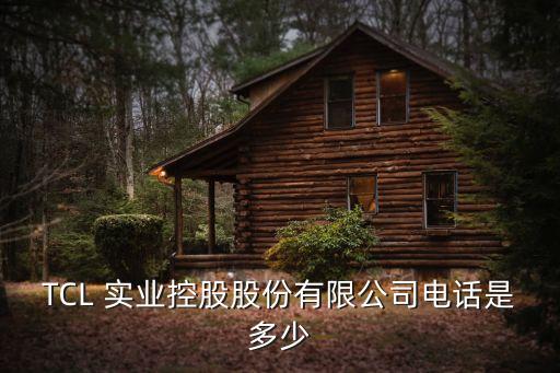tcl實(shí)業(yè),TCL實(shí)業(yè)中國(guó)營(yíng)銷本部