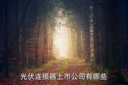 光伏連接器上市公司有哪些