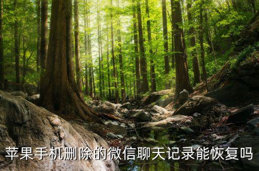蘋果手機刪除的微信聊天記錄能恢復嗎