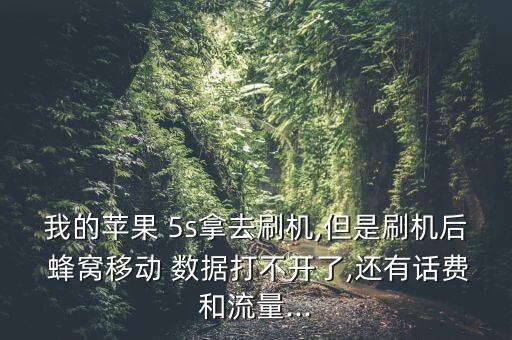 5s蜂窩數(shù)據(jù),蜂窩數(shù)據(jù)已經(jīng)打開了為什么沒有網(wǎng)