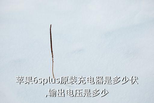 蘋果6splus原裝充電器是多少伏,輸出電壓是多少