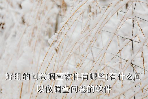 好用的問卷調(diào)查軟件有哪些(有什么可以做調(diào)查問卷的軟件