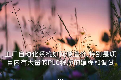 工廠自動化系統(tǒng)如何做造價,特別是項目內有大量的PLC程序的編程和調試...