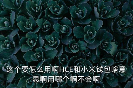 這個要怎么用啊HCE和小米錢包啥意思啊用哪個啊不會啊