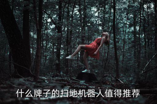 什么牌子的掃地機(jī)器人值得推薦