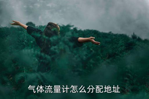 氣體流量計怎么分配地址