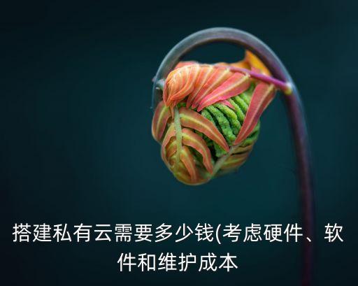 搭建私有云需要多少錢(考慮硬件、軟件和維護(hù)成本