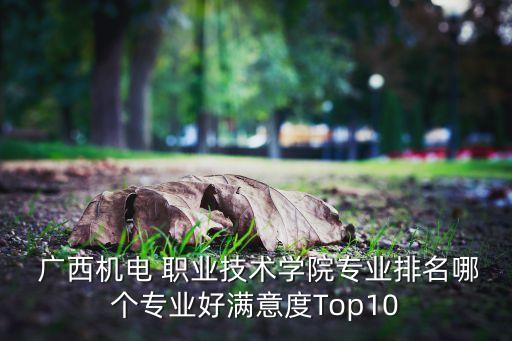 廣西電氣自動化職業(yè)學(xué)校,廣西?？齐姎庾詣踊莻€學(xué)校較好