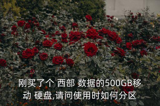 新買移動硬盤西部數(shù)據(jù),西部數(shù)據(jù)移動硬盤無法讀取怎么修復(fù)