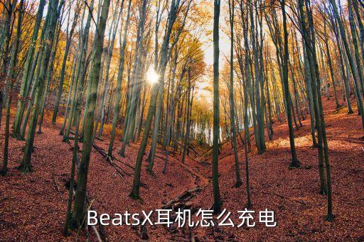 BeatsX耳機怎么充電