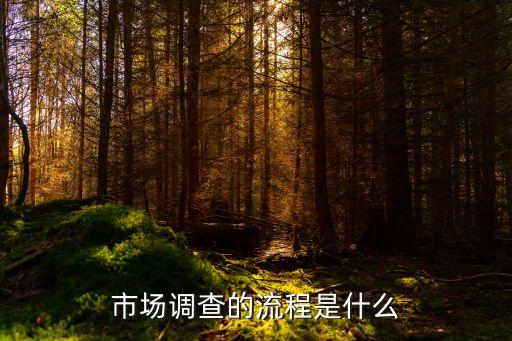市場(chǎng)調(diào)查的流程是什么