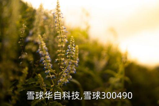 雪球華自科技,雪球300490