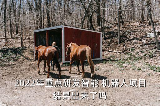 2022年重點(diǎn)研發(fā)智能 機(jī)器人項(xiàng)目結(jié)果出來了嗎