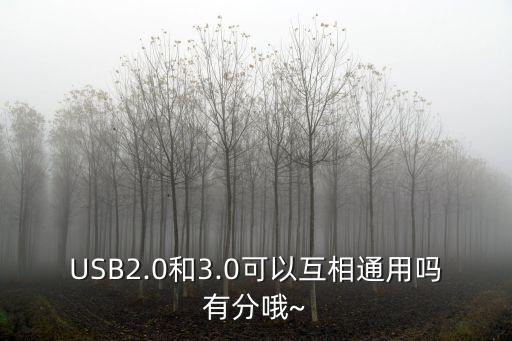 谷歌數(shù)據(jù)線USB3.0,谷歌原裝數(shù)據(jù)線