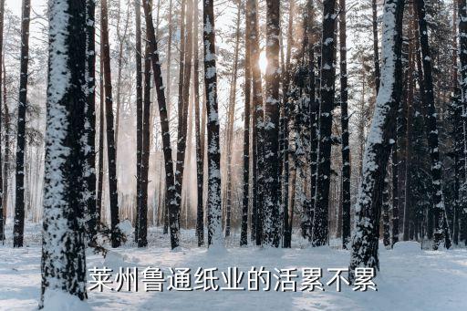 萊州魯通紙業(yè)的活累不累