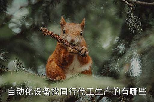 自動(dòng)化設(shè)備找同行代工生產(chǎn)的有哪些