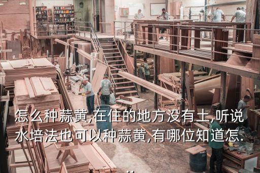 蒜黃大棚自動(dòng)化設(shè)備,種蒜黃不用花錢(qián)!這樣種