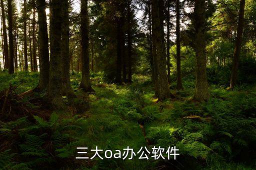三大oa辦公軟件