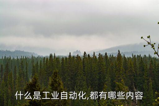 工業(yè)自動(dòng)化電氣端子設(shè)計(jì),工業(yè)電氣自動(dòng)化設(shè)計(jì)有哪些標(biāo)準(zhǔn)?