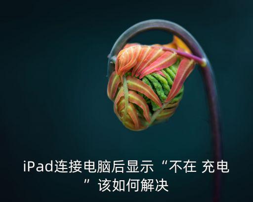 ipad連上數(shù)據(jù)線沒充電,用數(shù)據(jù)線把iphone和ipad連起來