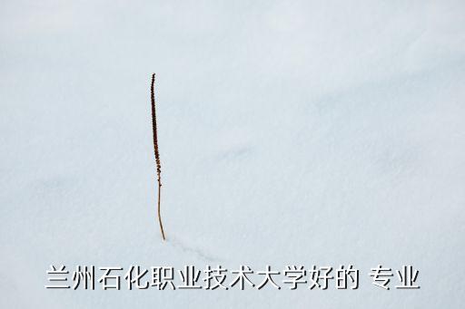 蘭州石化職業(yè)技術(shù)大學(xué)好的 專業(yè)