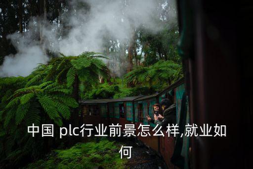 中國 plc行業(yè)前景怎么樣,就業(yè)如何