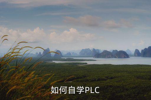 如何自學(xué)PLC