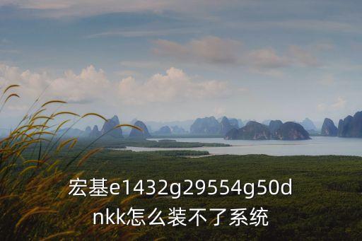 宏基e1432g29554g50dnkk怎么裝不了系統(tǒng)