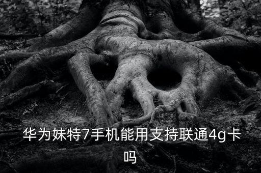 華為mate7移動版數(shù)據