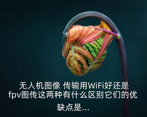 無人機(jī) 數(shù)據(jù)傳輸