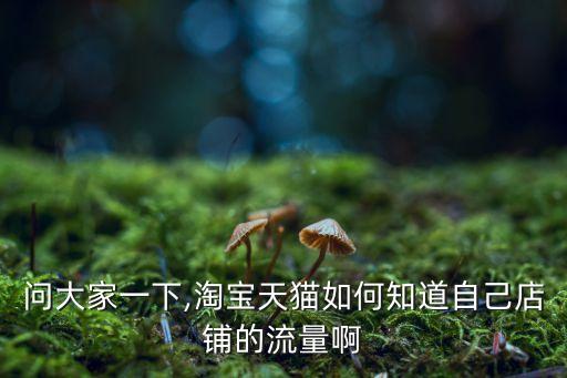 天貓賣家怎么看數(shù)據(jù),天貓店鋪用什么軟件看數(shù)據(jù)比較精準(zhǔn)?