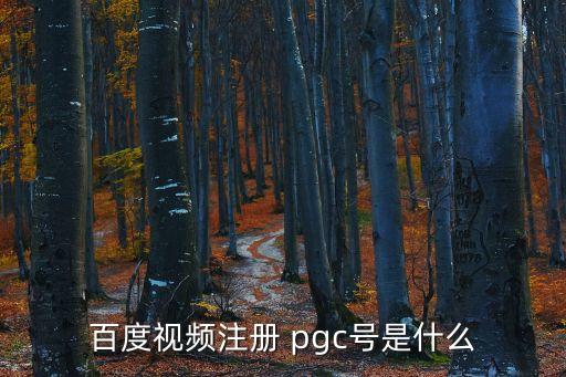 pgc是什么,Pgc是什么意思啊