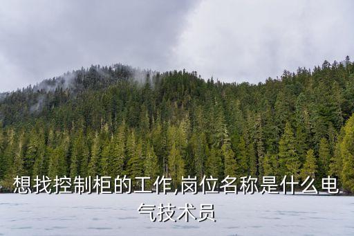 想找控制柜的工作,崗位名稱是什么電氣技術(shù)員