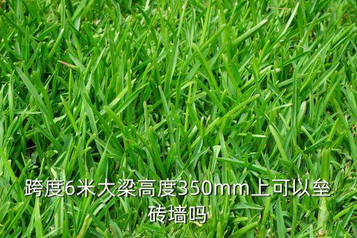 磊磚機(jī)器人,屋頂用磚怎么壘個吉星樓?