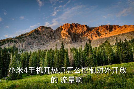 小米4怎么設(shè)置數(shù)據(jù)流量上網(wǎng),小米手機(jī)如何設(shè)置數(shù)據(jù)流量使用情況