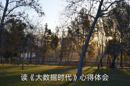 數(shù)據(jù)治理 ibm,數(shù)據(jù)治理十步法:找癥狀確定目標
