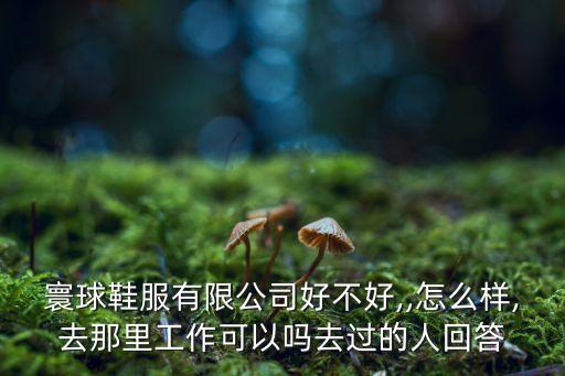 寰球鞋服有限公司好不好,,怎么樣,去那里工作可以嗎去過的人回答