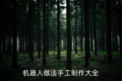 機(jī)器人做法手工制作大全