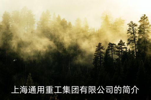上海通用重工集團(tuán)有限公司的簡(jiǎn)介