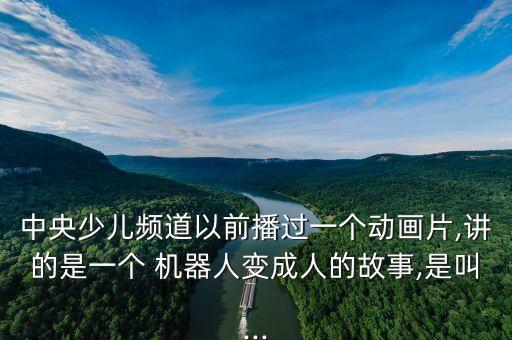中央少兒頻道以前播過一個動畫片,講的是一個 機(jī)器人變成人的故事,是叫...